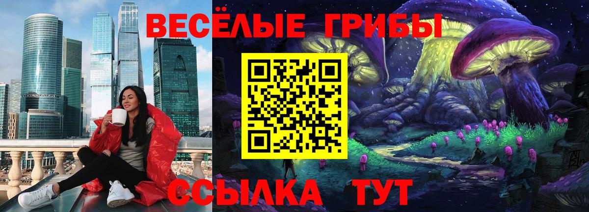 Псилоцибиновые грибы мухоморы Котовск