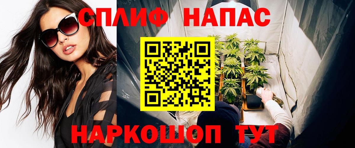 Конопля сатива Котовск